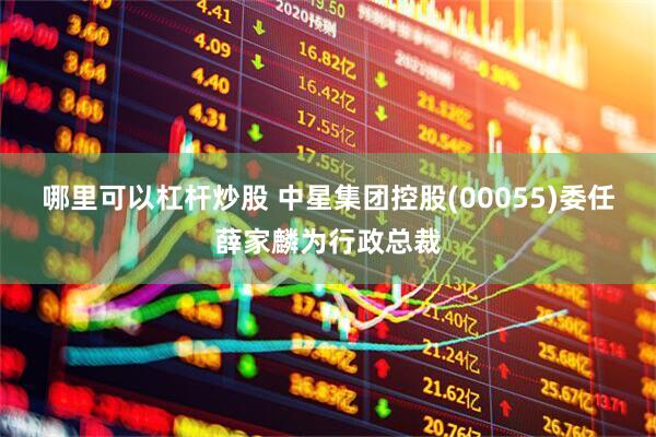 哪里可以杠杆炒股 中星集团控股(00055)委任薛家麟为行政总裁