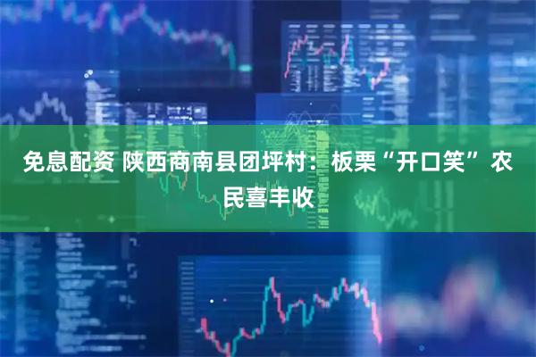 免息配资 陕西商南县团坪村：板栗“开口笑” 农民喜丰收